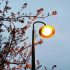 The Affecting Factors Of Urban Lighting Design